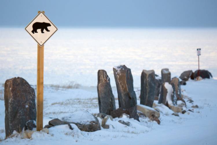 Polar bear sign along a rock fence image