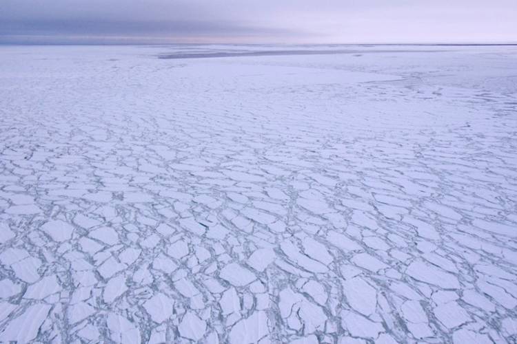 Overhead view of fragmented sea ice.