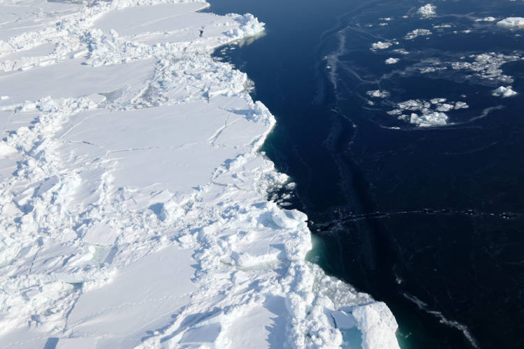 The sea ice floe edge meets open water