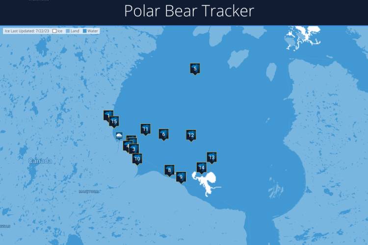 A screenshot of the Polar Bear Tracker in July