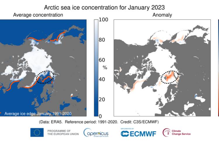 January 2023 sea ice map showing the sea ice extent in the Arctic and in Svalbard