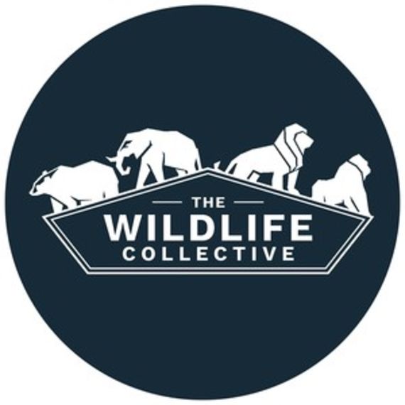 The Wildlife Collective logo