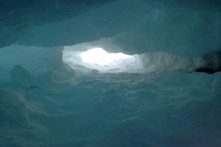 The view from inside a polar bear snow den.